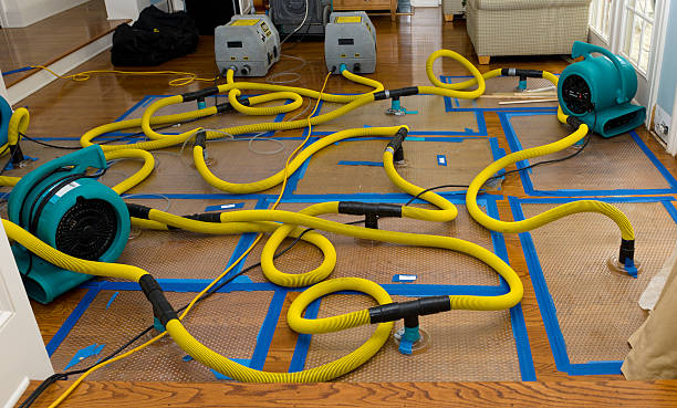 Professional Crawl Space Water Removal technician working in Oakwood, IL